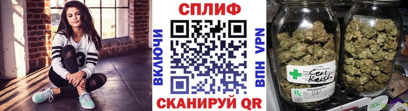 Где продают наркотики Лыткарино Канабис Меф мяу мяу hydra tor ГАШ COCAIN