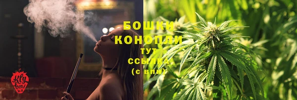мдпв Бородино