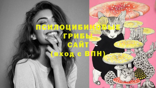 гашишное масло Богородицк
