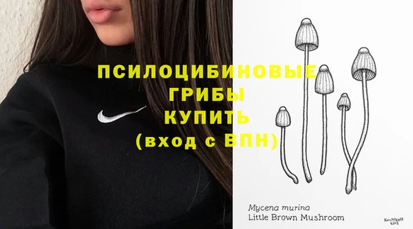 мдпв Бородино