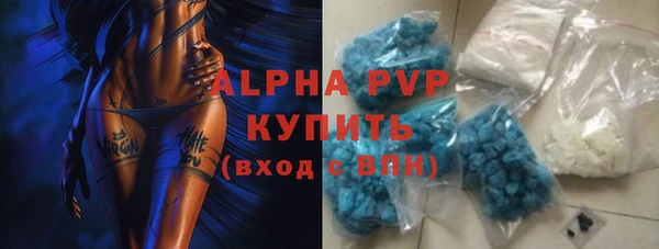 дмт Богданович