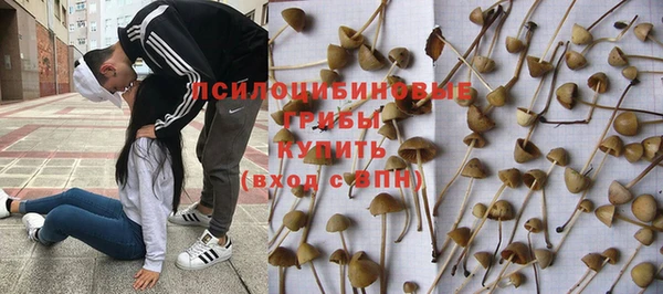 синтетический гашиш Богородск