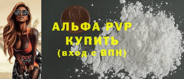 дмт Богданович
