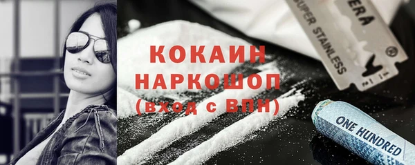 дмт Богданович