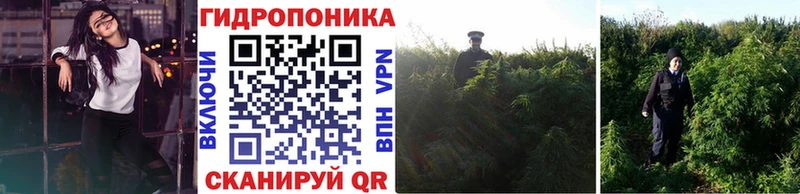 где найти наркотики дарк нет состав Марихуана конопля Лыткарино